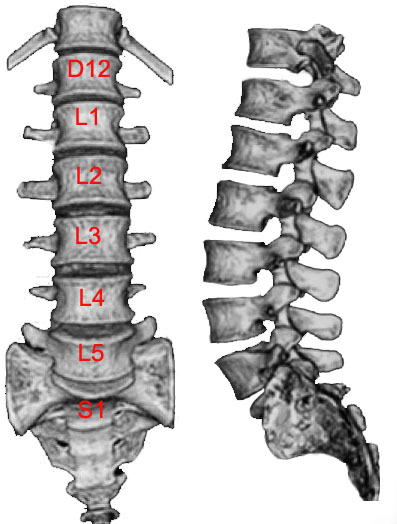 osteoartrita coloanei vertebrale lombare